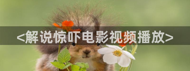 奇优影院手机版老版本