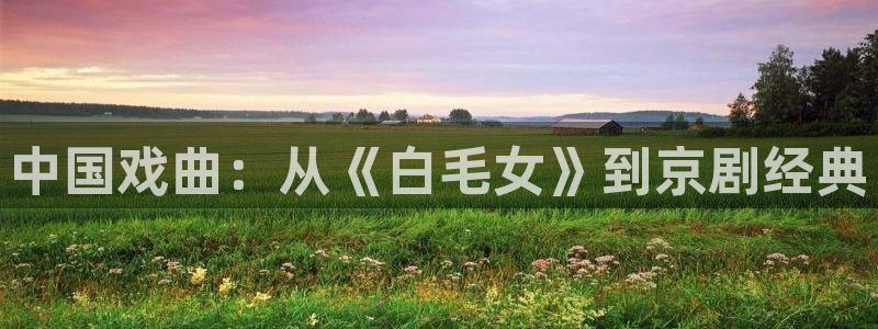 奇优影院手机在线免费观看电视剧