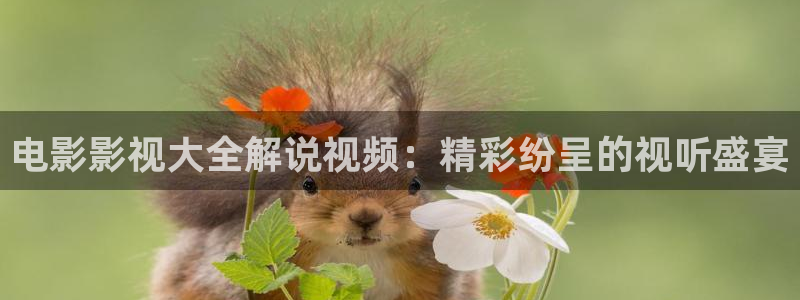 奇优影院高清电视剧