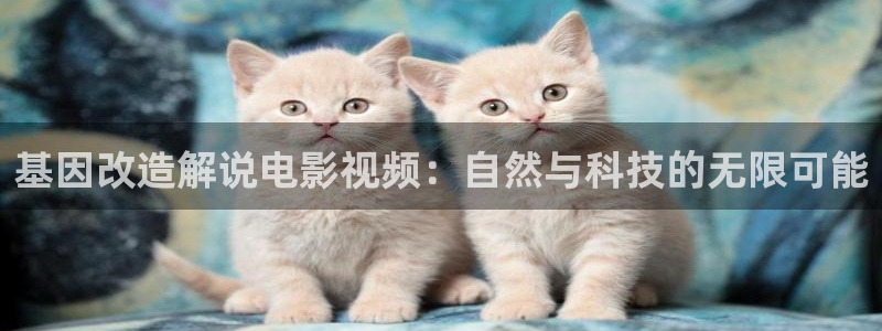 奇优影院免费观看电视剧大全