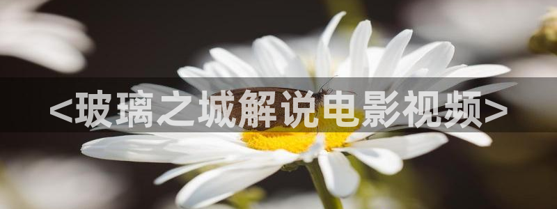 奇优影院在线观看理论
