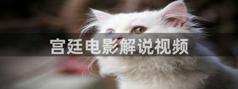 奇优影院 在线